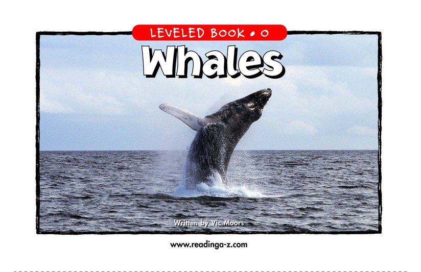 Whales