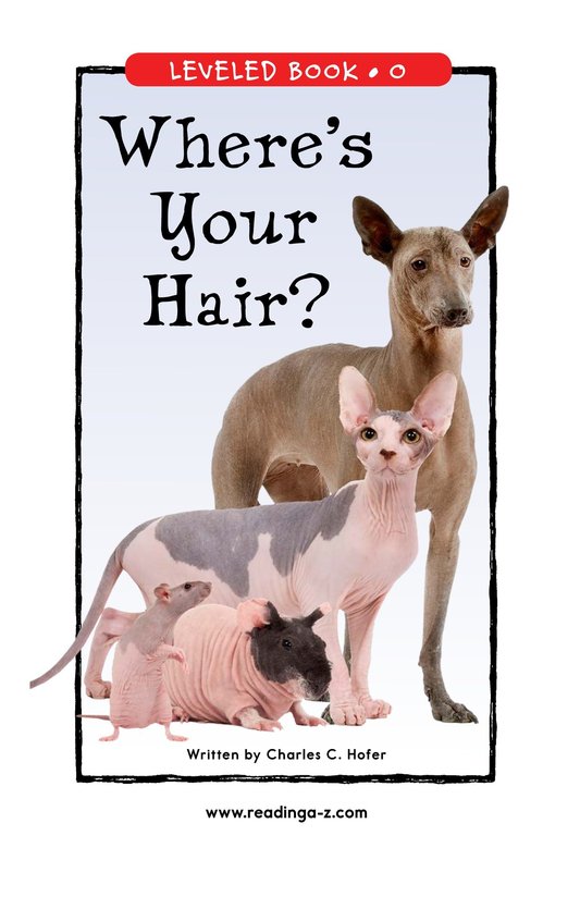 Where's Your Hair