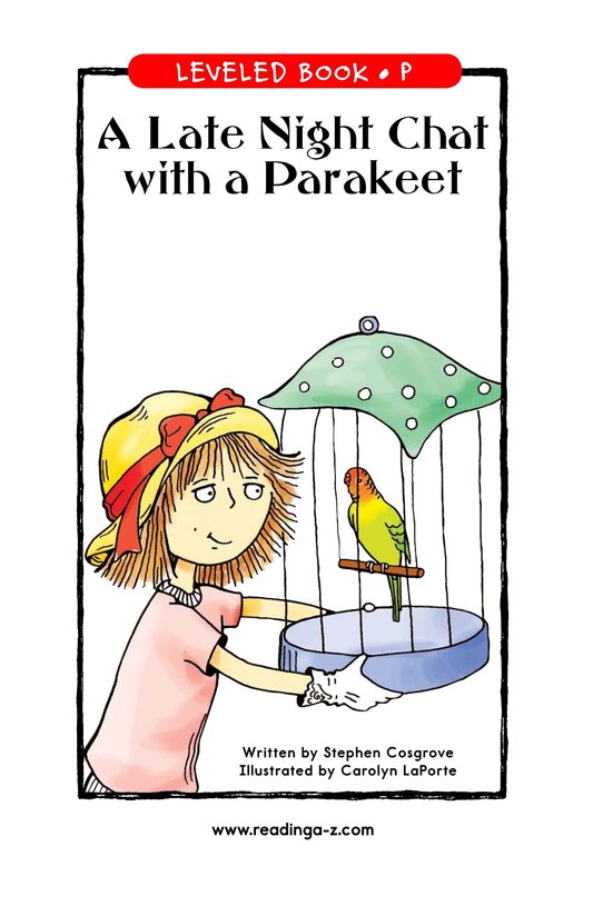 A Late Night Chat with a Parakeet