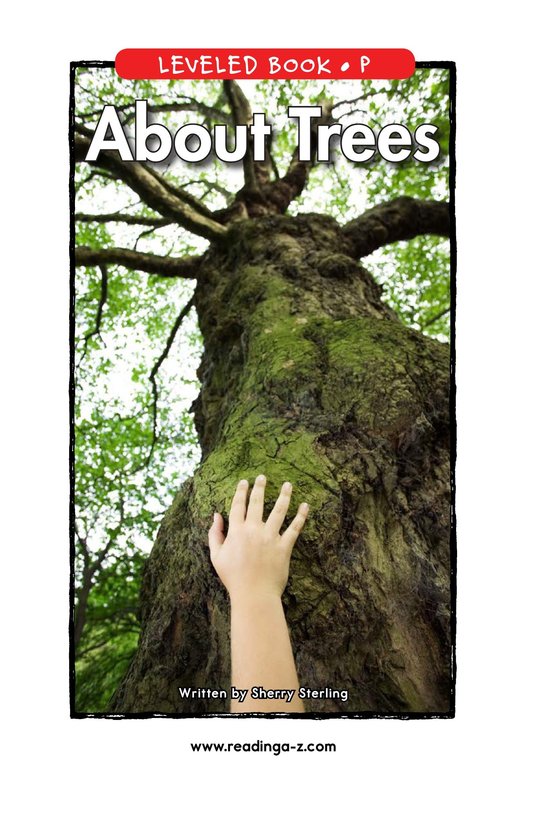About Trees