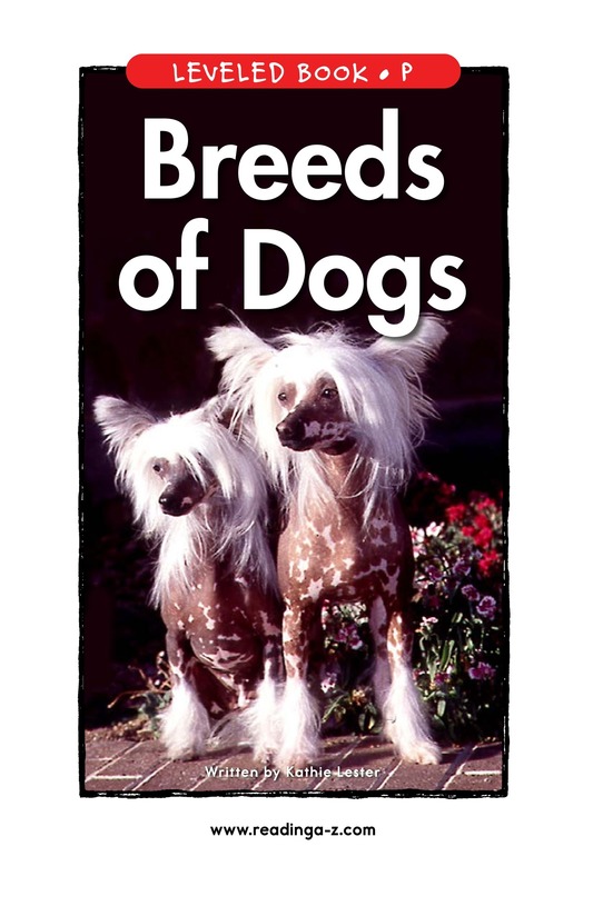 Breeds of Dogs