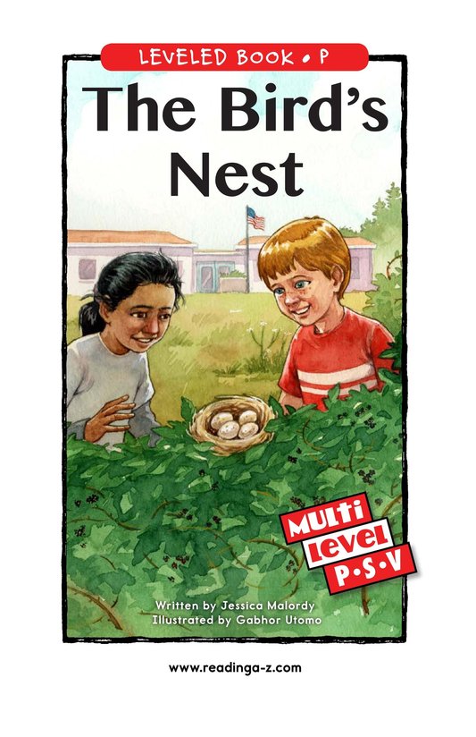 The Bird's Nest