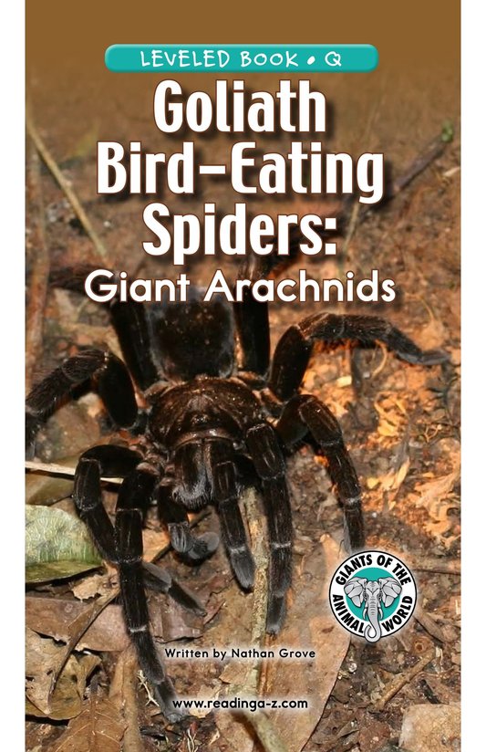 Goliath Bird Eating Spiders Giant Arachnids