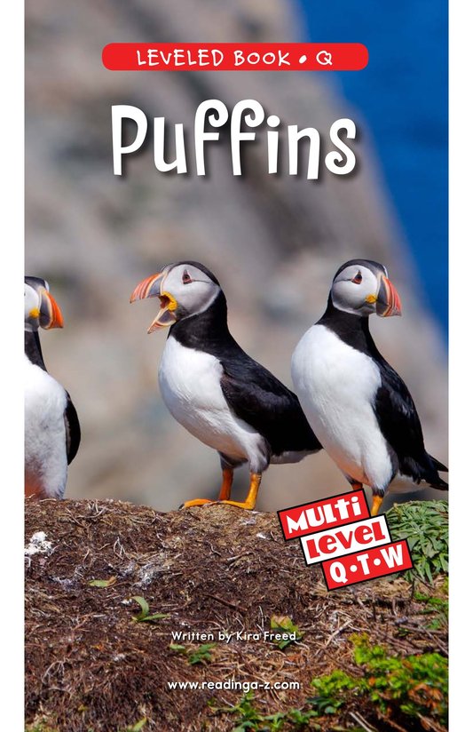 Puffins