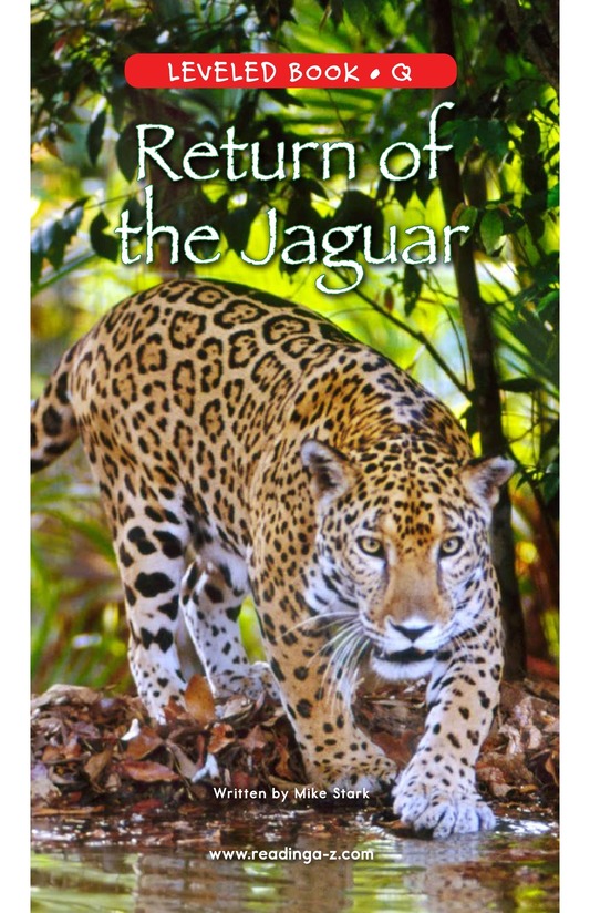 Return of the Jaguar