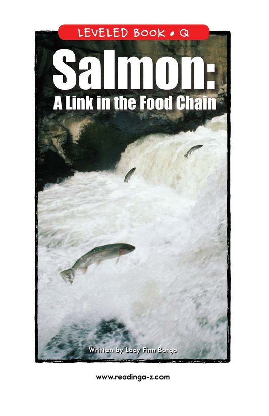 Salmon A Link in the Food Chain
