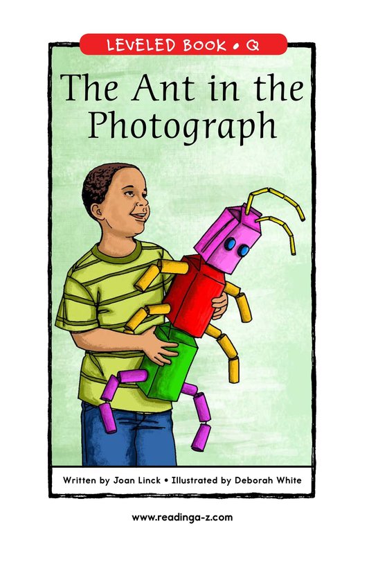 The Ant in the Photograph