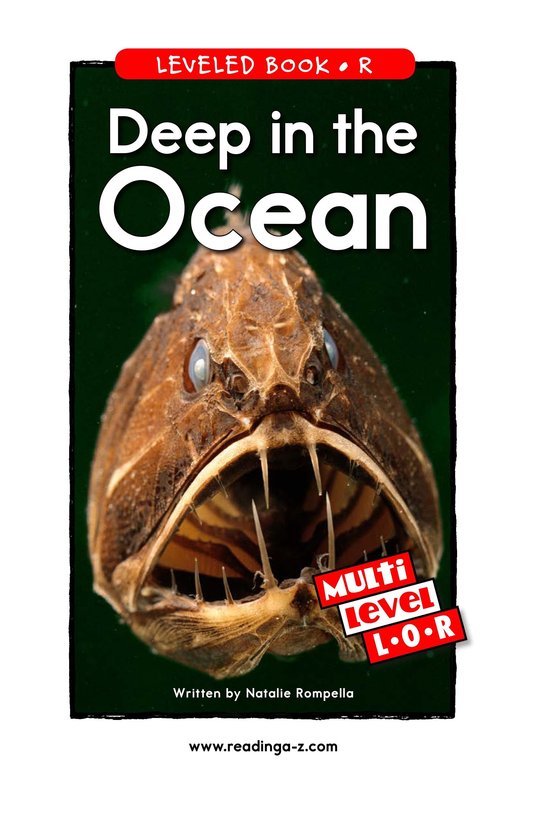 Deep in the Ocean