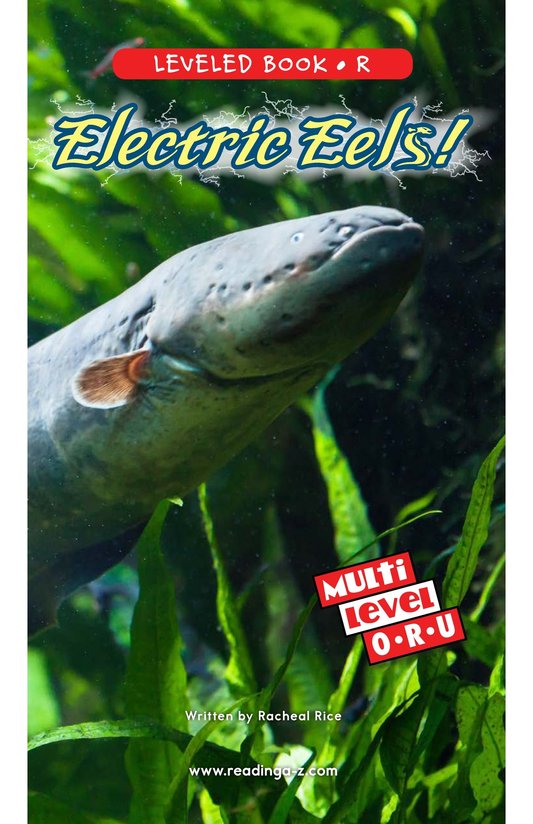 Electric Eels!