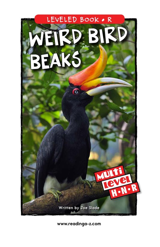 Weird Bird Beaks