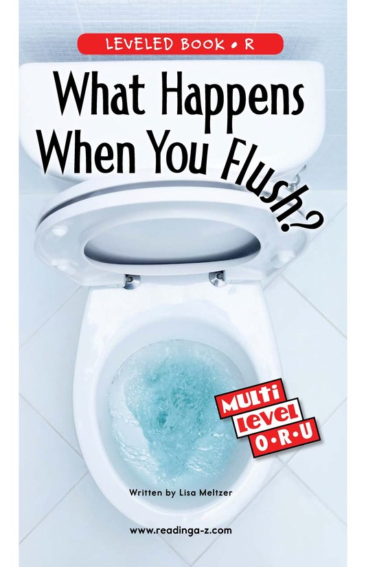 What Happens When You Flush