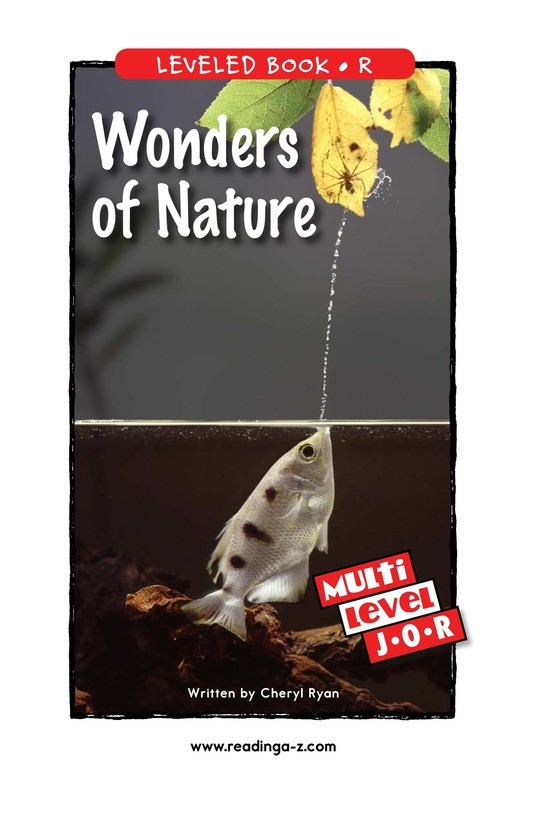 Wonders of Nature