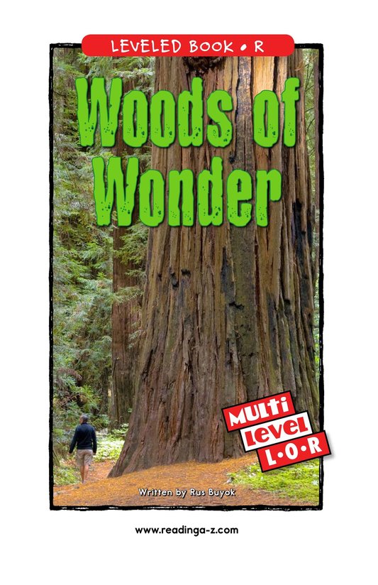 Woods of Wonder