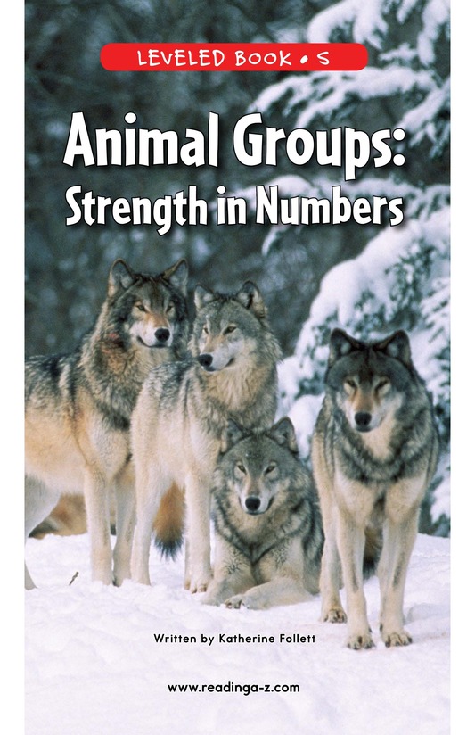 Animal Groups Strength in Numbers