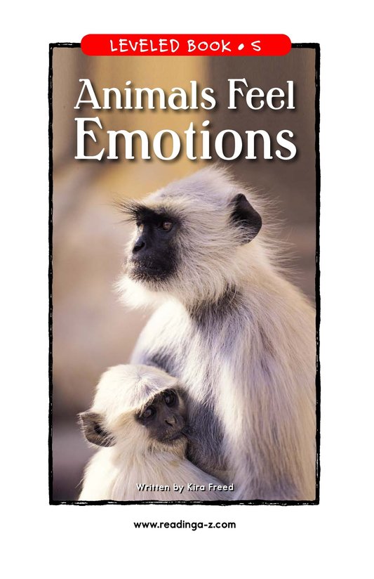 Animals Feel Emotions