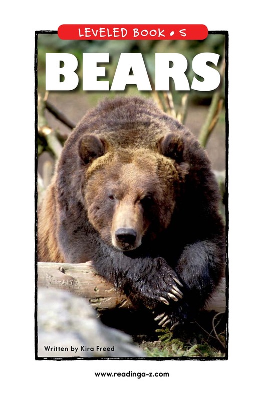Bears
