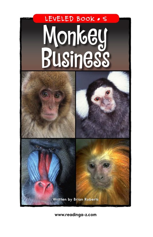 Monkey Business
