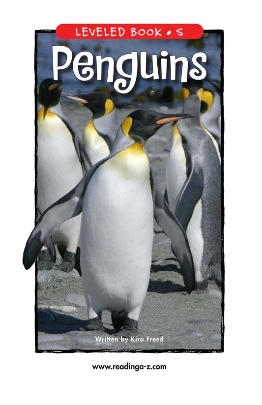 Penguins