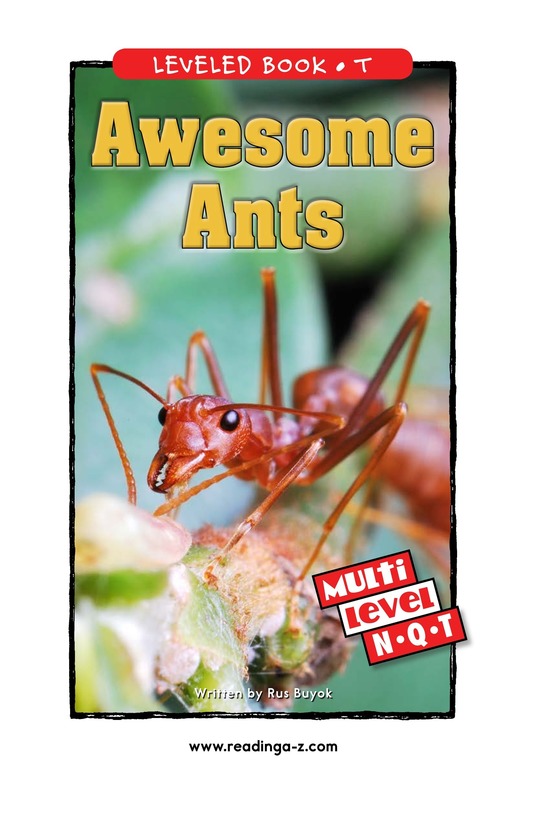 Awesome Ants