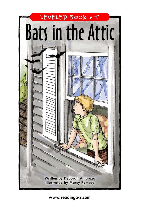 Bats in the Attic