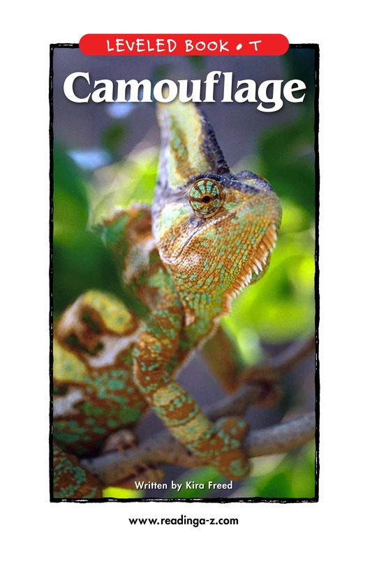 Camouflage
