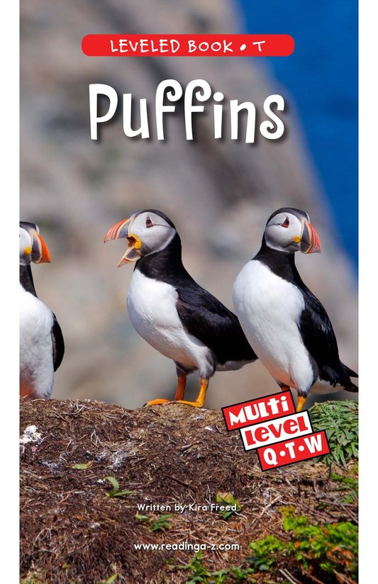 Puffins