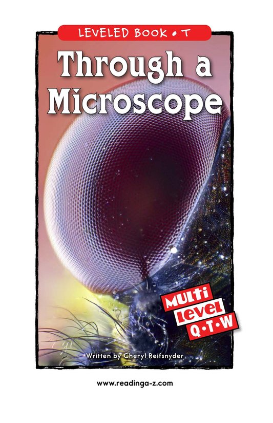 Through a Microscope