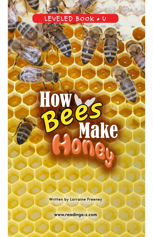 How Bees Make Honey
