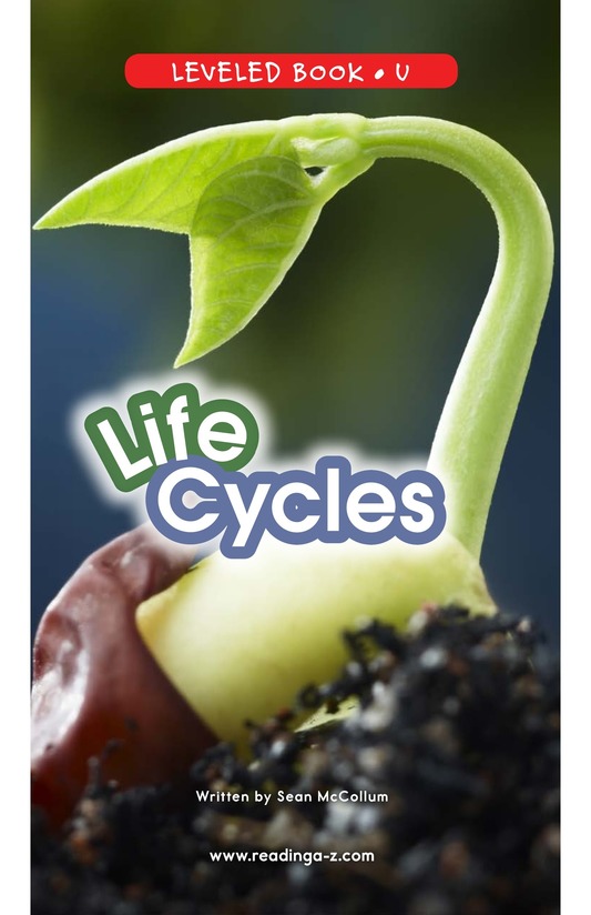 Life Cycles