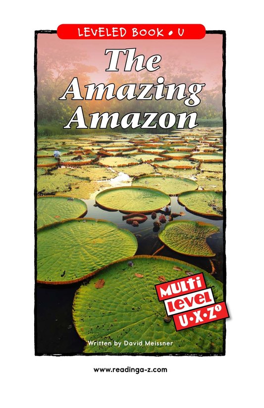The Amazing Amazon