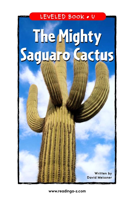 The Mighty Saguaro Cactus
