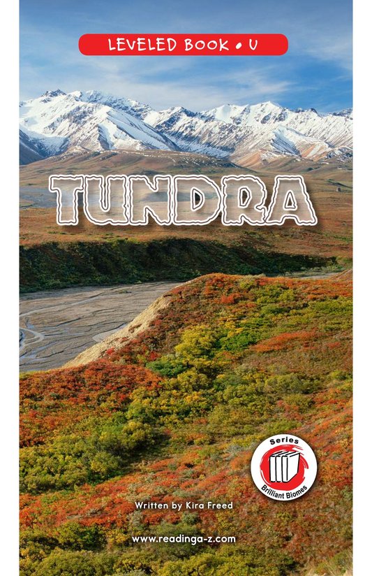 Tundra