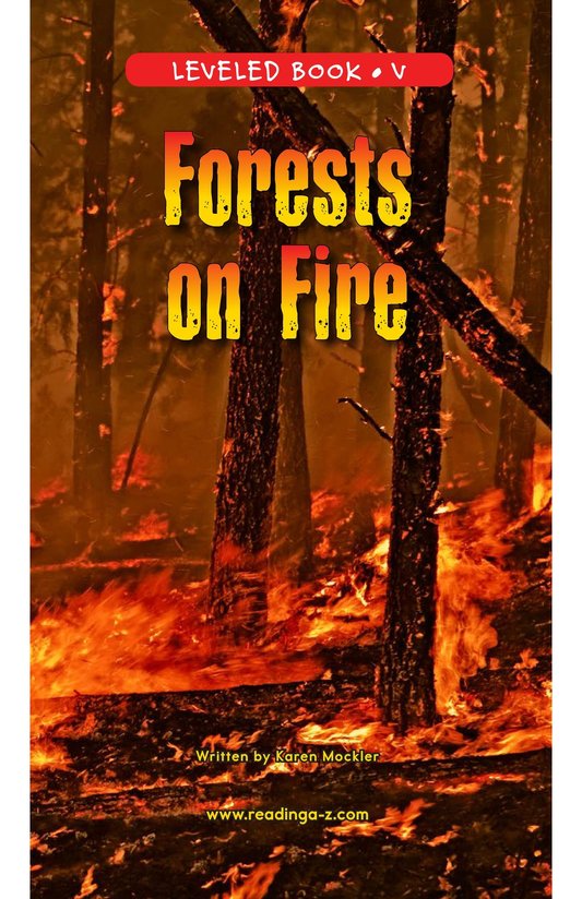 Forests on Fire