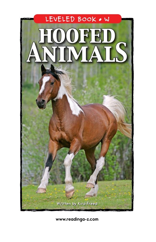 Hoofed Animals