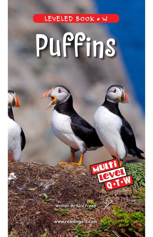 Puffins