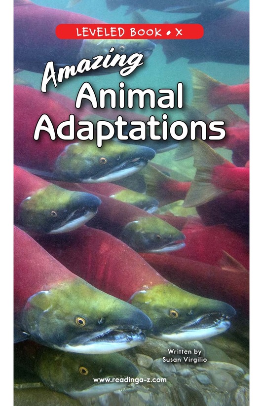 Amazing Animal Adaptations