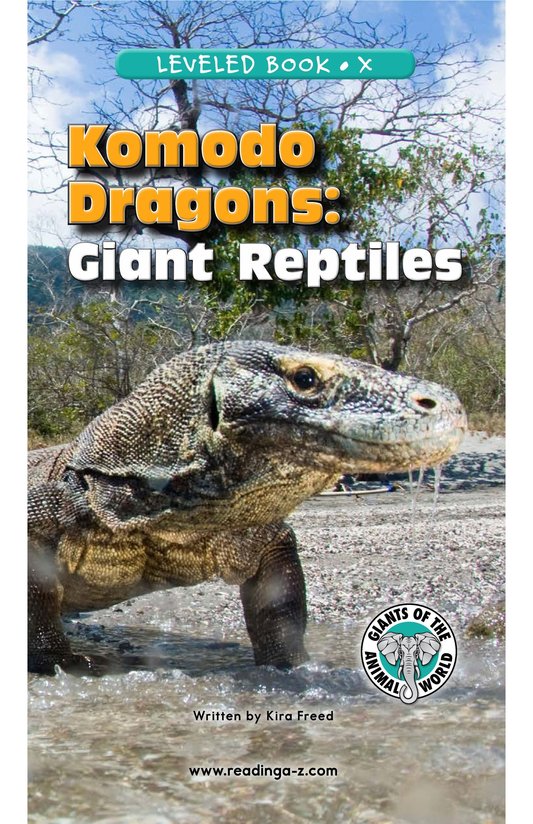 Komodo Dragons Giant Reptiles