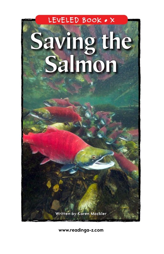 Saving the Salmon