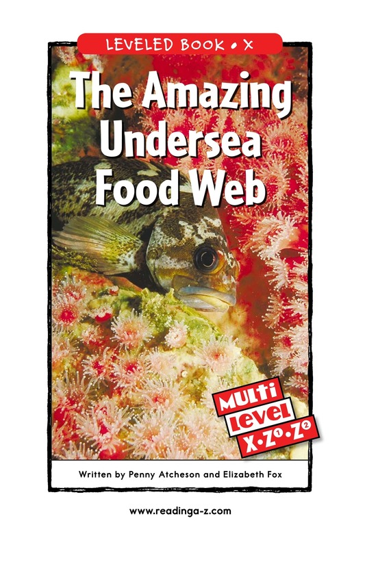 The Amazing Undersea Food Web