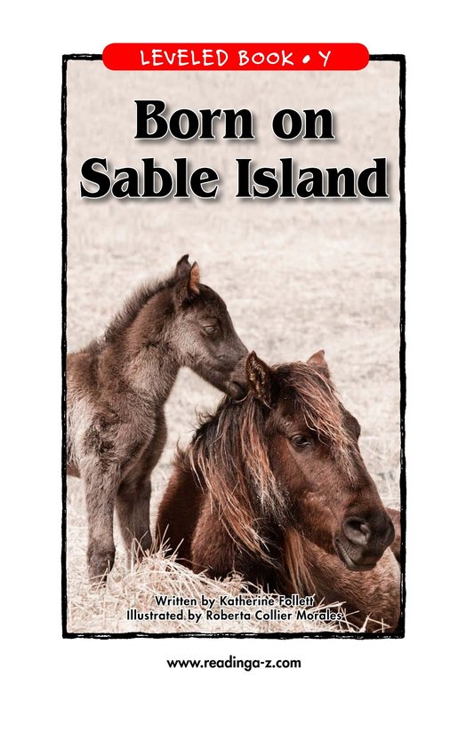 Born on Sable Island