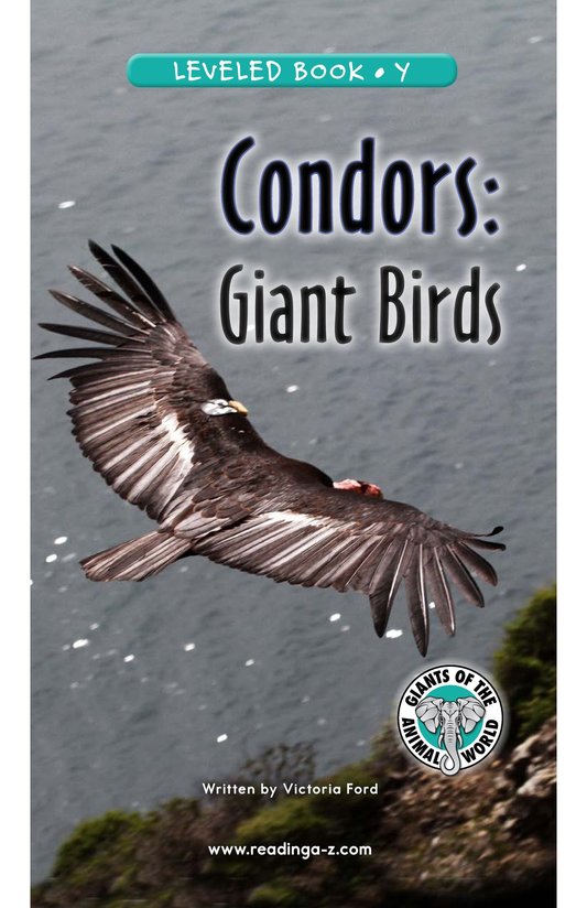 Condors Giant Birds