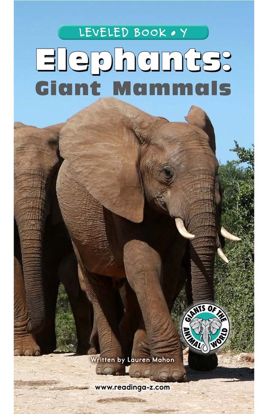 Elephants Giant Mammals