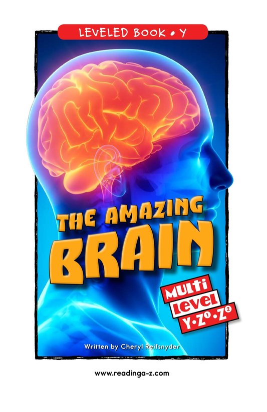 The Amazing Brain
