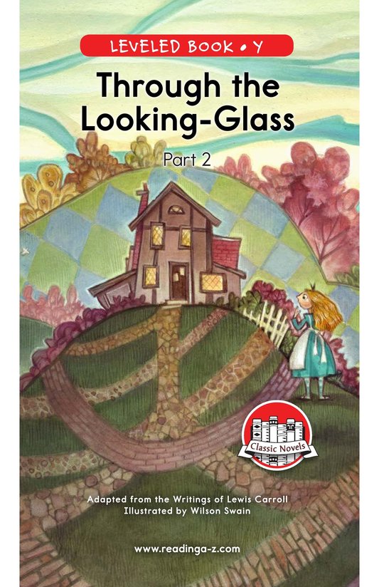 Through the Looking Glass (Part 2)