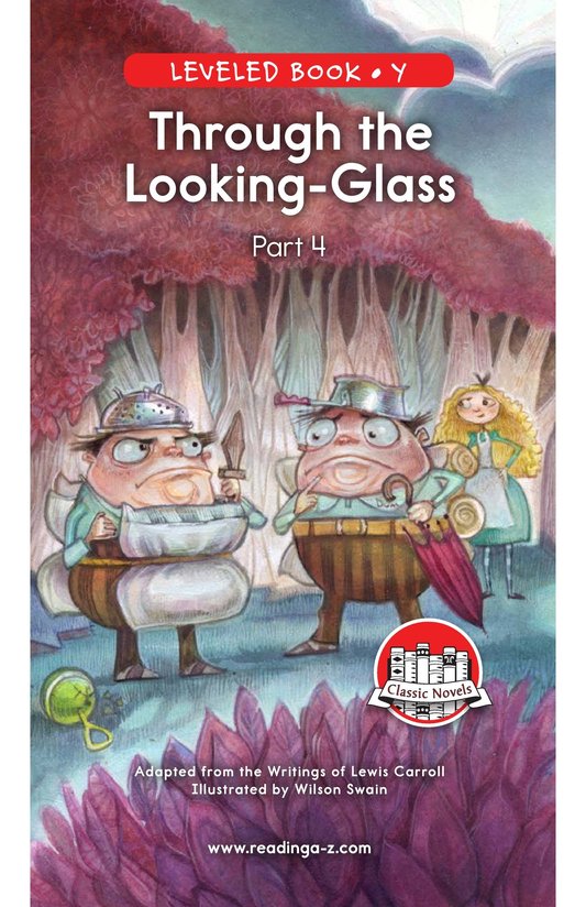 Through the Looking Glass (Part 4)
