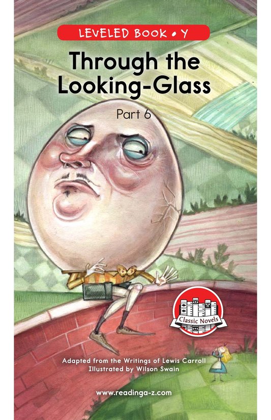 Through the Looking Glass (Part 6)