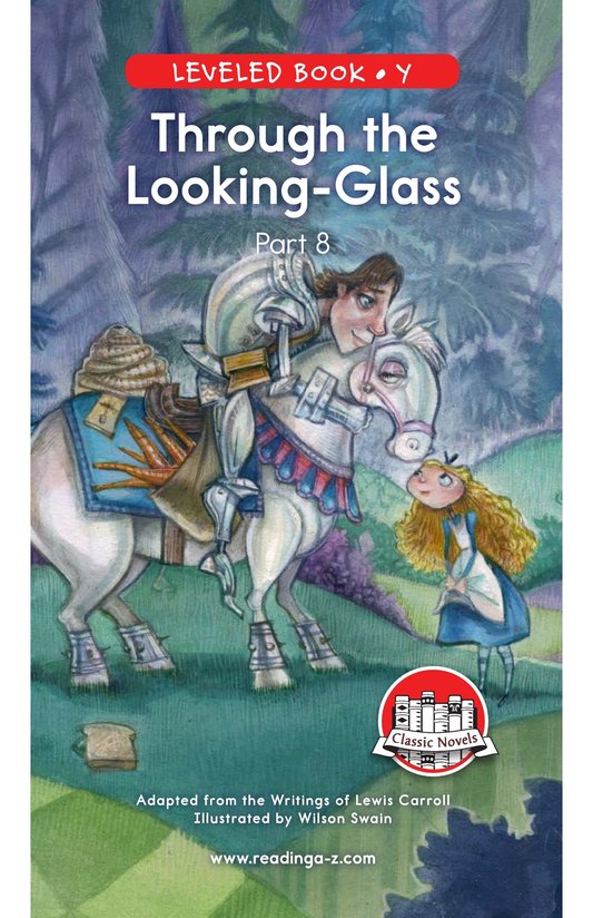 Through the Looking Glass (Part 8)