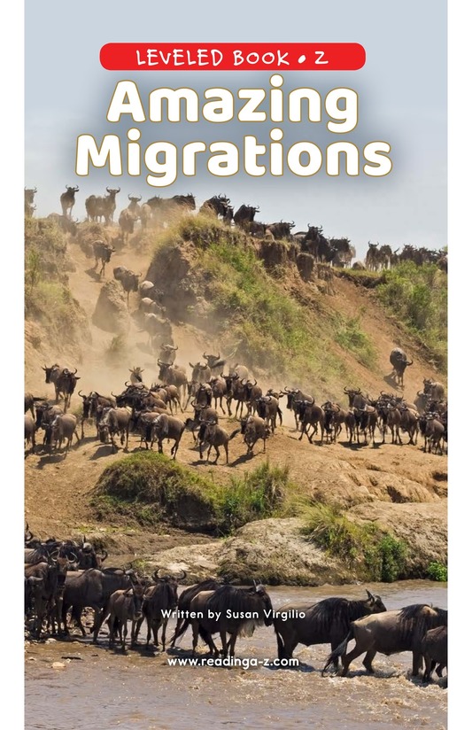 Amazing Migrations