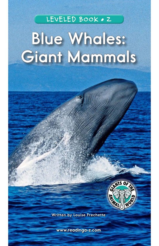 Blue Whales Giant Mammals