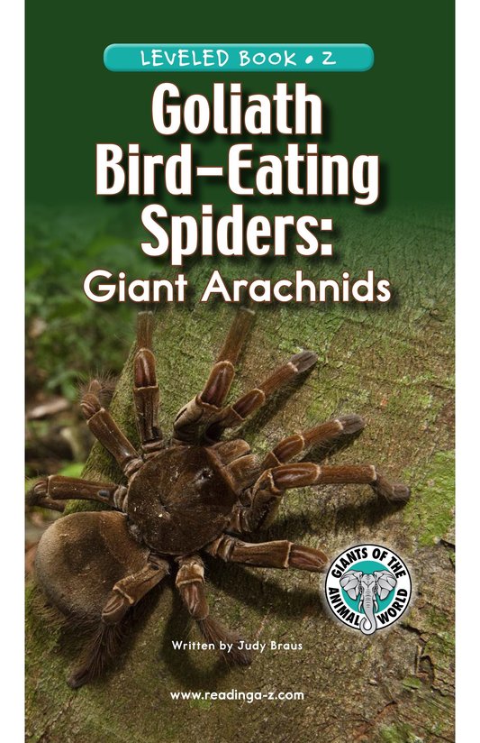 Goliath Bird Eating Spiders Giant Arachnids
